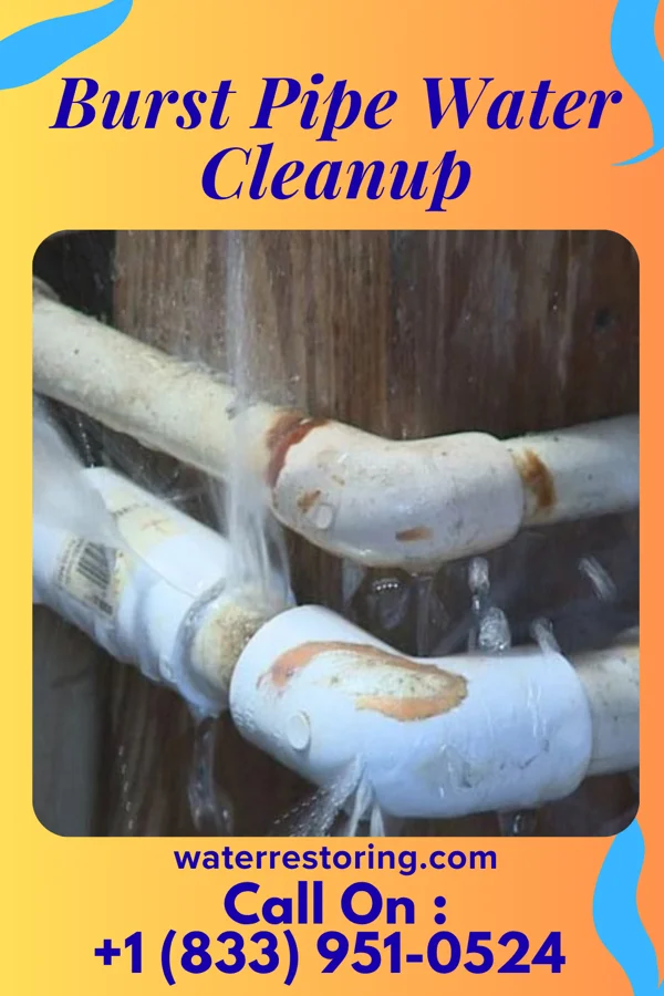 Burst Pipe Water Cleanup in Weigelstown, PA